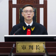 本案需要规制的是人工智能办事供给者正在特定